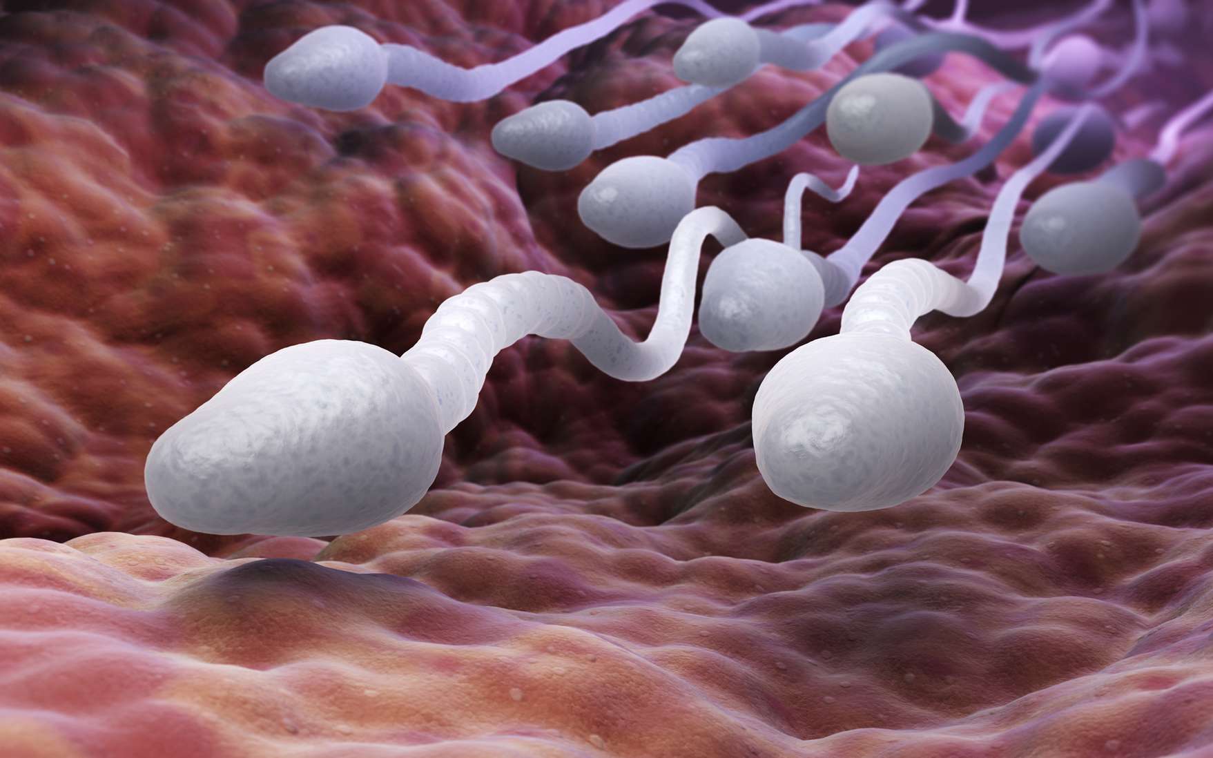 Dossier : On vous dit tout sur le sperme !