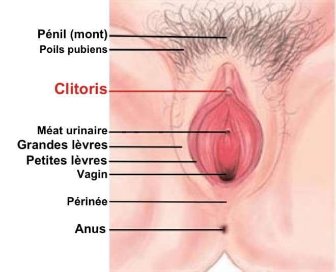 Comment savoir si vous avez une dépression du vagin